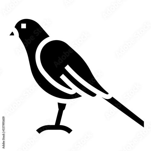 CANARY glyph icon