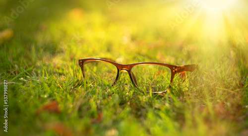 Elegant glasses for vision on a green summer background. Sale of optics. A frame for glasses in the sunset sunlight. Advertising optics.