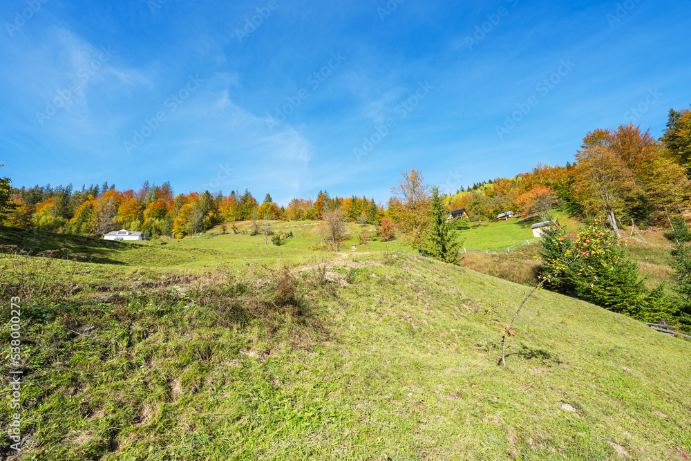 Autumn landscape of the Carpathians on a sunny day
