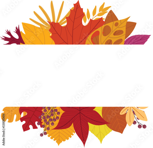 Picture frames made of leaves