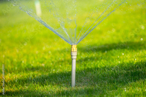 Sprinkler for automatic lawn watering. Lawn cultivation and care, garden irrigation devices.