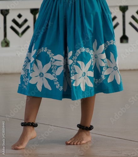 Картината върху платно Legs of hula dancers performing in Waikoloa - 3