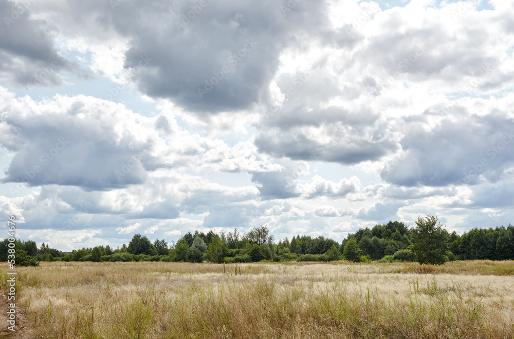 Bright summer forest against the sky and meadows. Beautiful landscape of green trees and blue sky background Bright summer forest against the sky and meadows. Beautiful landscape of green trees and blue sky background