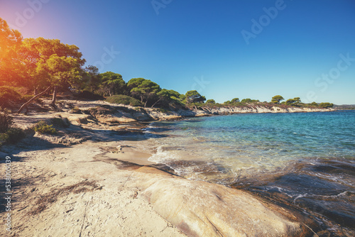 Seascape pine trees on an autumn sunny day. Rocky beach with pines