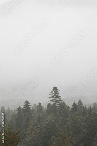 autumn and fog in the mountains. vertical photo. Photo wallpaper with mountain view, space for text