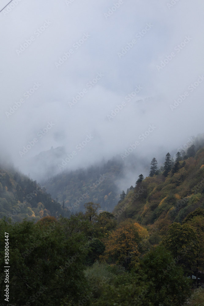 autumn and fog in the mountains. vertical photo. Photo wallpaper with mountain view, space for text