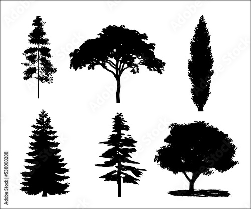Decorative set with trees and tree shape. Vector drawing with tree and forest.