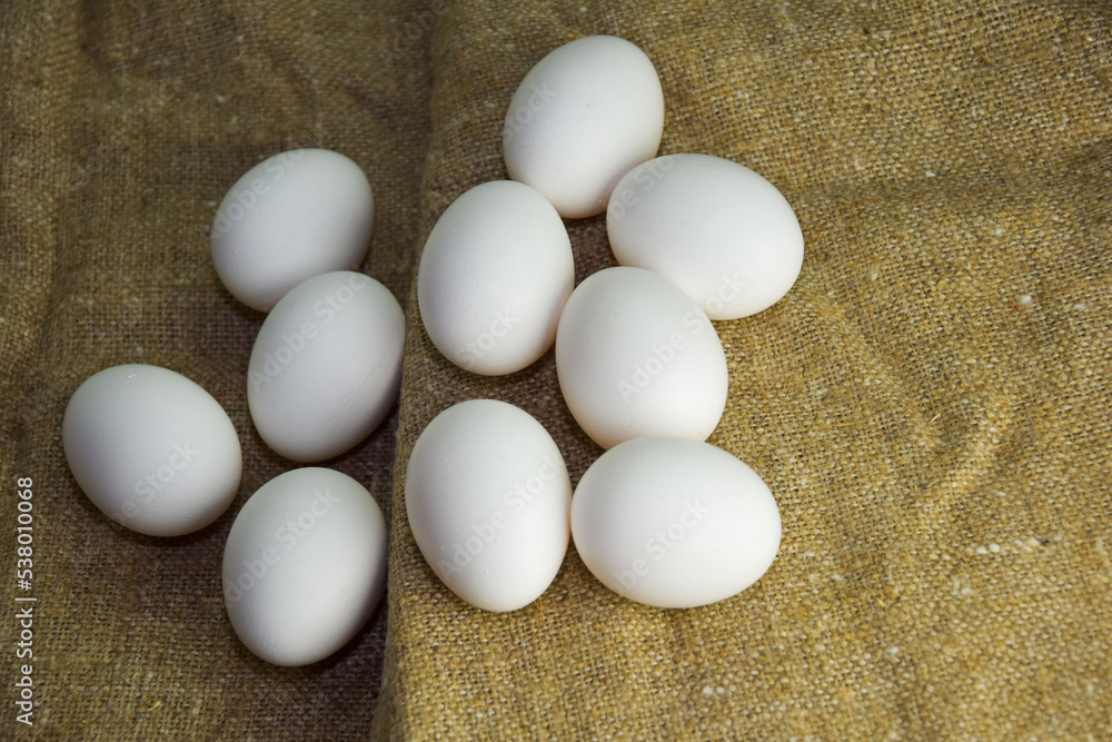 White chicken eggs close-up on a background of burlap, rustic still life. Concept and idea for homemade organic food artwork. environmentally friendly products. Farm products White chicken eggs close-up on a background of burlap, rustic still life. Concept and idea for homemade organic food artwork. environmentally friendly products. Farm products