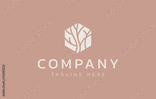 Abstract Tree Branch in Hexagon Logo Design