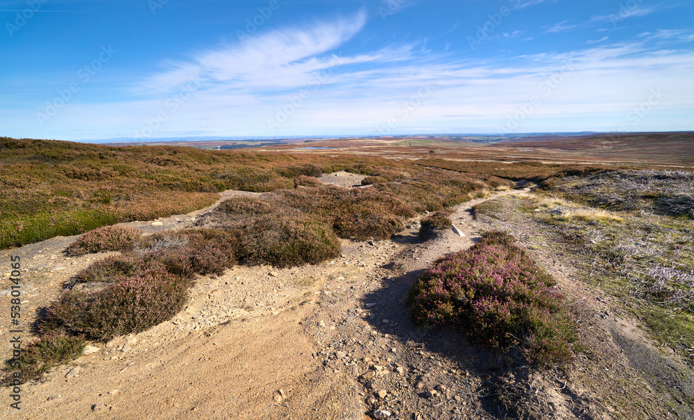 A dirt trail path that runs through the remote heather moorland common below Bolt's Law near Blanchland in Northumberland on the County Durham border, England UK. A dirt trail path that runs through the remote heather moorland common below Bolt's Law near Blanchland in Northumberland on the County Durham border, England UK.