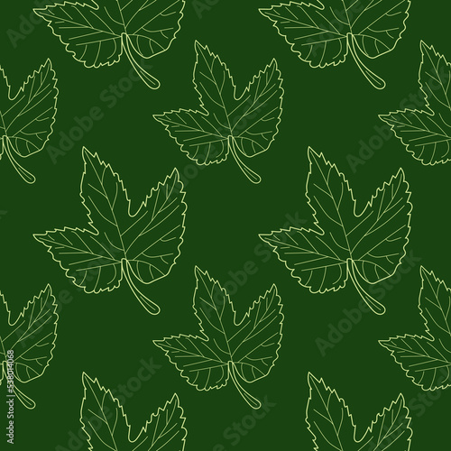 Seamless pattern Hop leaves in linear style. Hand drawn Hop leaf seamless pattern. Vector illustration