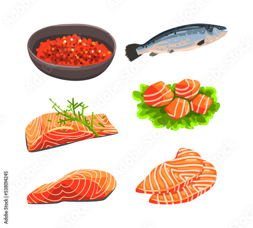 Fresh Salmon Fish Caviar and Fillet Slab as Seafood Product Vector Set