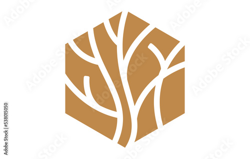 Abstract Tree Branch in Hexagon Logo Design