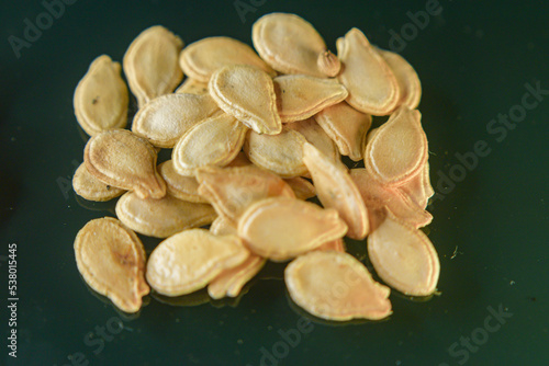 Seeds of sh Gourd/ White Gourd vegetable