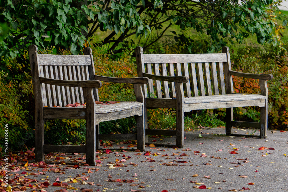 Two wooden park benches in autum with colorfull leafs Two wooden park benches in autum with colorfull leafs