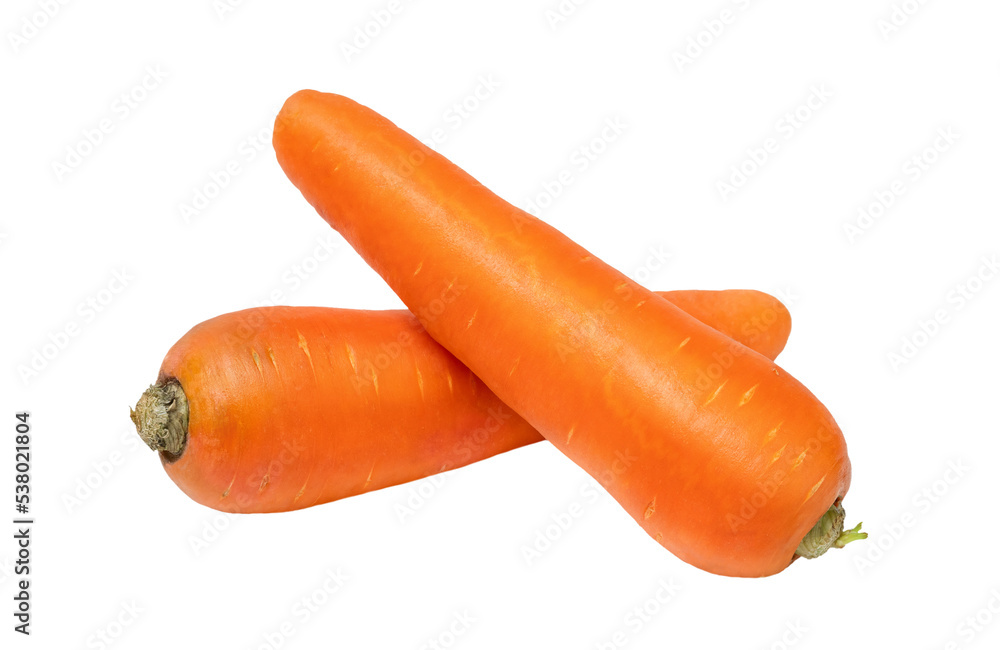 Two fresh orange carrots isolated Two fresh orange carrots isolated