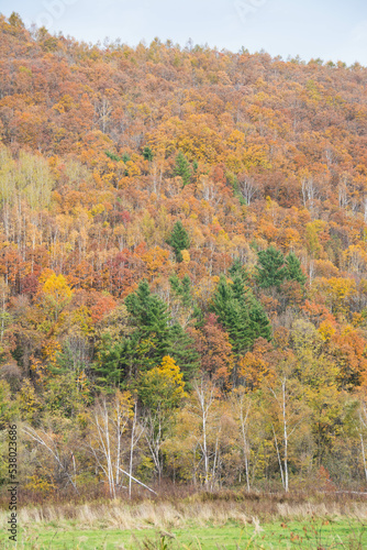 カラフルな秋の山 