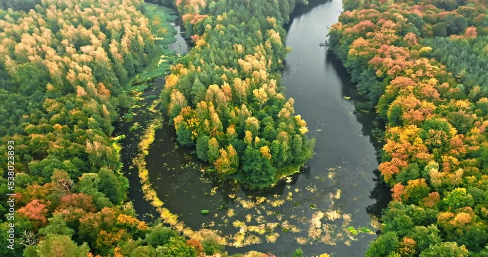 Aerial view of river and forest in autumn. Aerial view of river and forest in autumn.