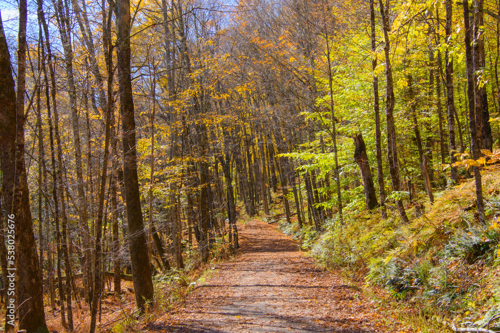 Beautiful fall colors in the Canadian countryside at fall in the province of Quebec Beautiful fall colors in the Canadian countryside at fall in the province of Quebec