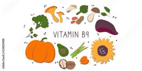 Vitamin B9 folic acid. Groups of healthy products containing vitamins. Set of fruits, vegetables, meats, fish and dairy.
