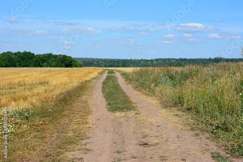 country road going through the agricultural field without crop to horizon