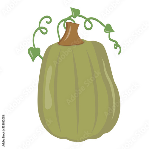 Autumn vegetable pumpkin, color vector isolated illustration icon