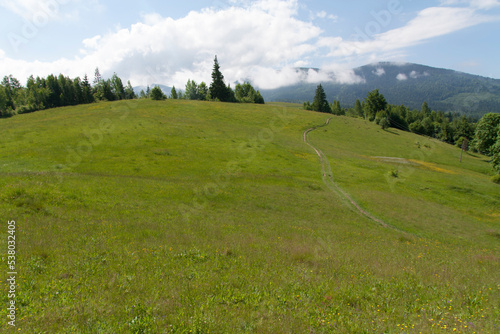 Wallpaper Mural Winding path Road in the Italian Alps photo Torontodigital.ca