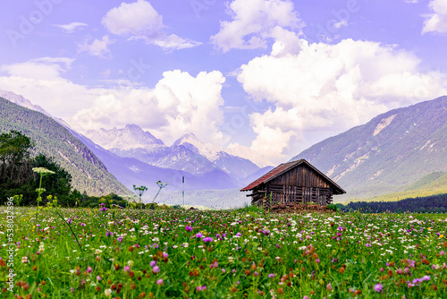 Fototapeta Naklejka Na Ścianę i Meble -   Green meadow with flowers and wooden hut in front of mountains in the Alps in summer