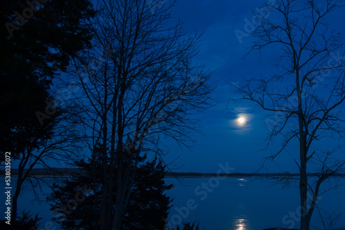 Full moon over a lake surrounded by tall trees