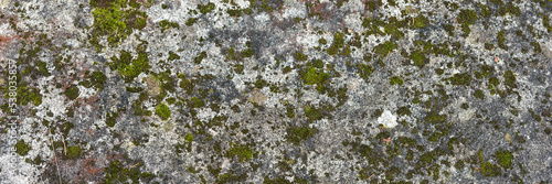 Wallpaper Mural Panoramic image. Stone with lichen and moss Torontodigital.ca