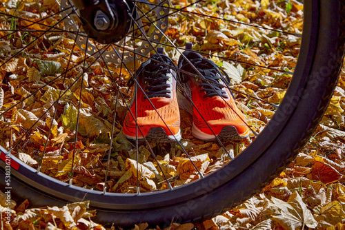 Orange sneakers and a bicycle wheel in sunlight against a background of fallen autumn leaves