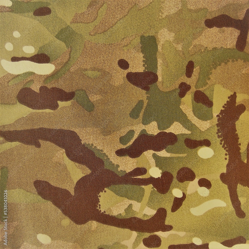 Fototapeta premium texture of camouflage fabric of the Ukrainian military 
