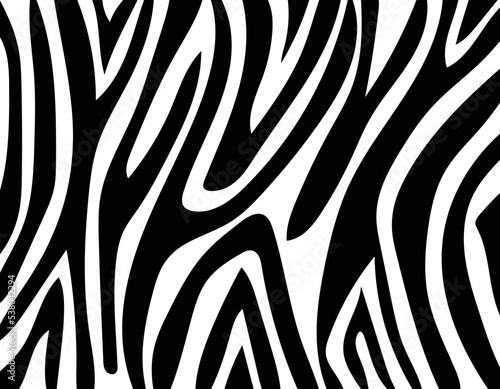 vector zebra skin background.