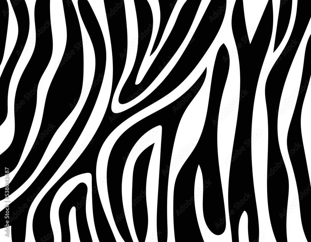 vector zebra skin texture. vector zebra skin texture.