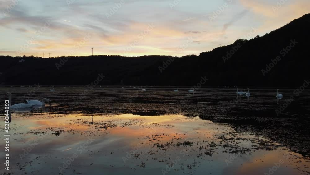 A drone flight at a beautiful sunset over a lake
with swans in Germany, Hagen-Hengsteysee A drone flight at a beautiful sunset over a lake
with swans in Germany, Hagen-Hengsteysee
