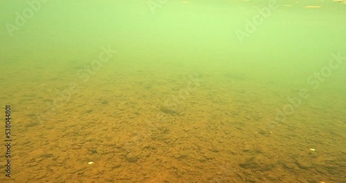 A view of stream of polluted water