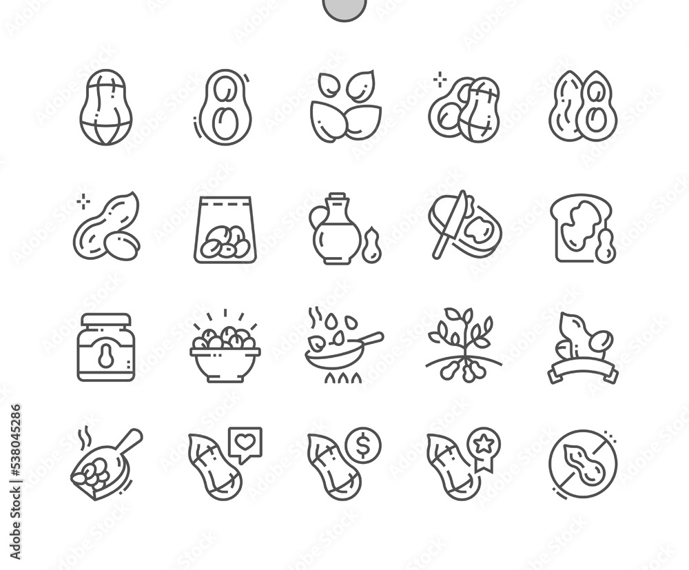 Peanut. Nature vegetable organic food nutrition. Nut collection. Pixel Perfect Vector Thin Line Icons. Simple Minimal Pictogram