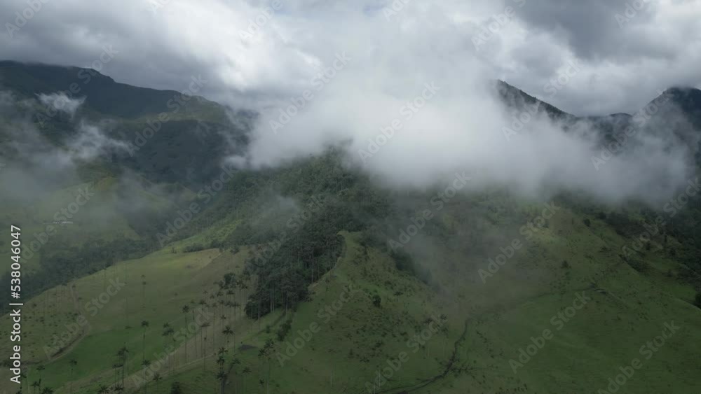 Cinematic Cloud Forest Aerial Vision Drone Above Cocora Valley Colombian Andean Mountain Forest near Salento Town Cinematic Cloud Forest Aerial Vision Drone Above Cocora Valley Colombian Andean Mountain Forest near Salento Town