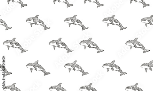 whale pattern