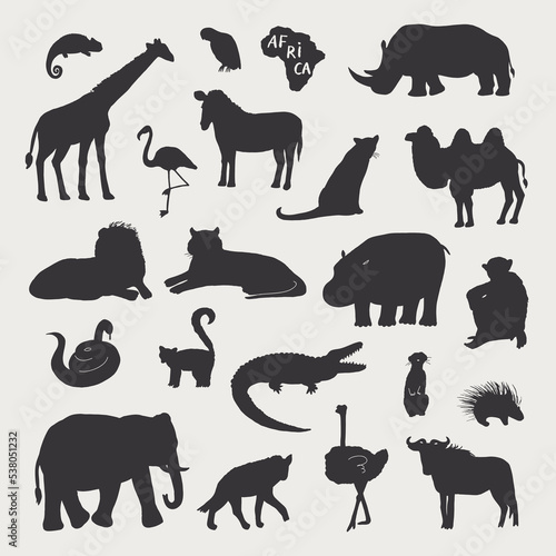 African animals vector illustrations set.