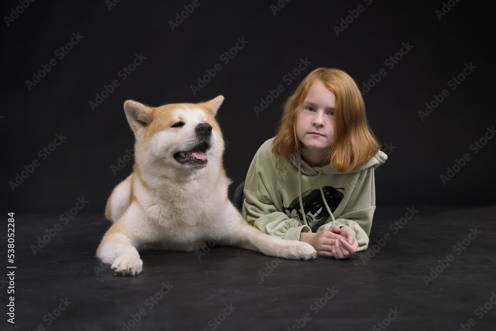 Redhead girl teenager 11-12 years old and dog Akita Inu, child in casual clothes and a purebred dog. Portrait, Redhead girl teenager 11-12 years old and dog Akita Inu, child in casual clothes and a purebred dog. Portrait,