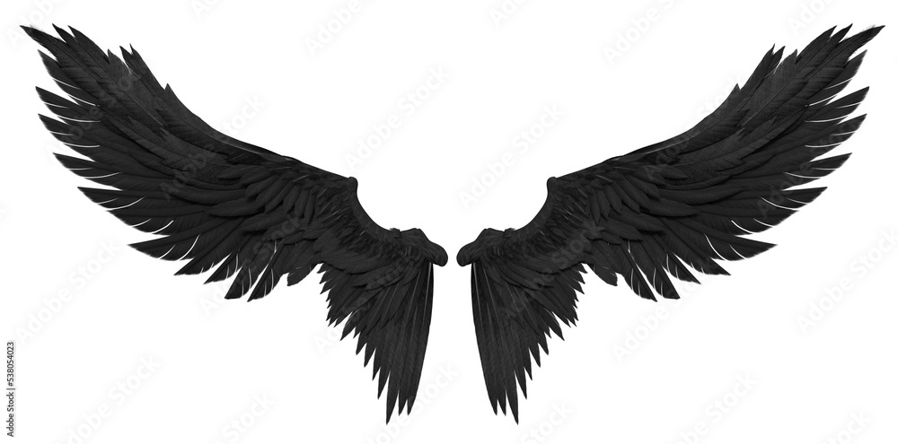 Fototapeta premium 3D Rendered Black Fantasy Angel Wings Isolated On Transparent Background - 3D Illustration