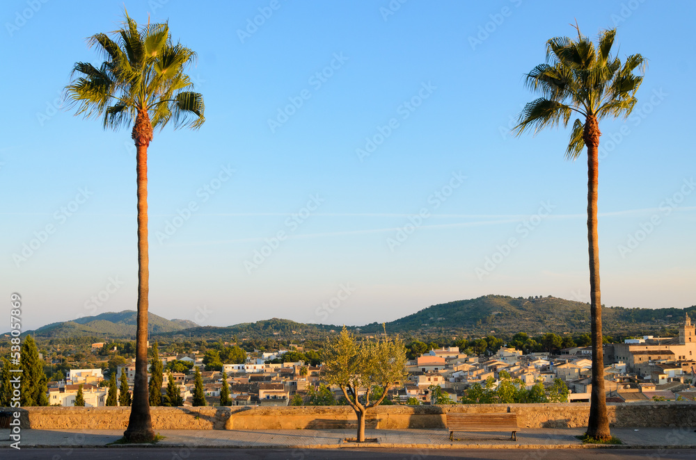 Stadtansicht der Dächer von Arta auf Mallorca von Palmen eingerahmt bei Sonnenuntergang am frühen Abend