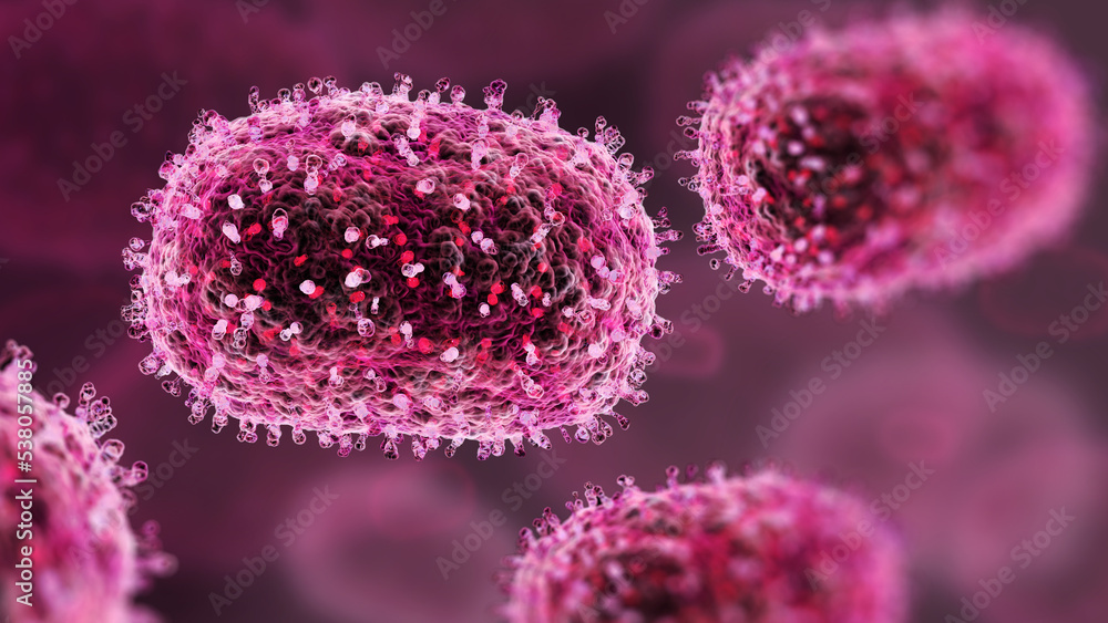 Detailed illustration of a monkeypox virus, few cells under a microscope, 3d render. Detailed illustration of a monkeypox virus, few cells under a microscope, 3d render.