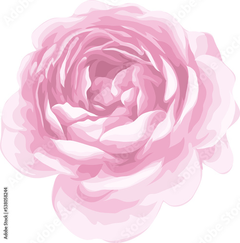 Beautiful Rose Flower and botanical leaf digital painted illustration for love wedding valentines day or arrangement invitation design greeting card