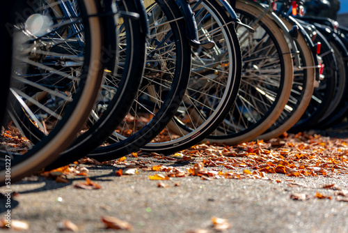Selective focus of classic and vintage bike, Back wheel of bicycle and colourful orange leaves on the ground in Autumn, Netherlands land of bicycles, Cycling is a common mode of transport in Holland.