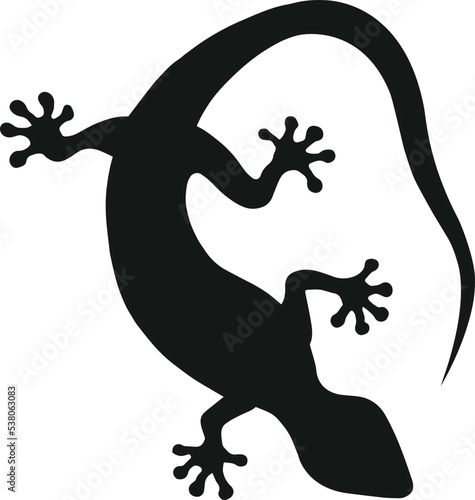 Tokay gekko silhouette on white background. Black hand drawn vector art of a gekko. Illustration of a lizard photo