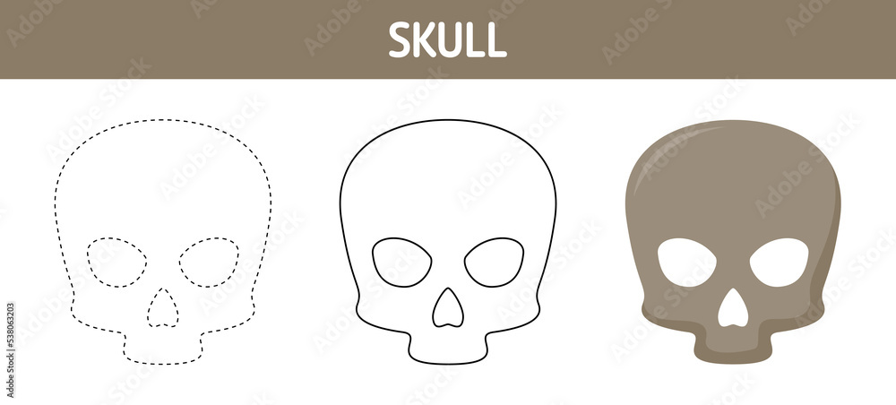 Skull tracing and coloring worksheet for kids