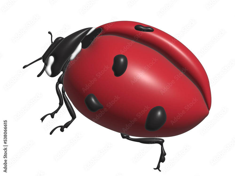 Fototapeta premium Ladybug in transparent background format.