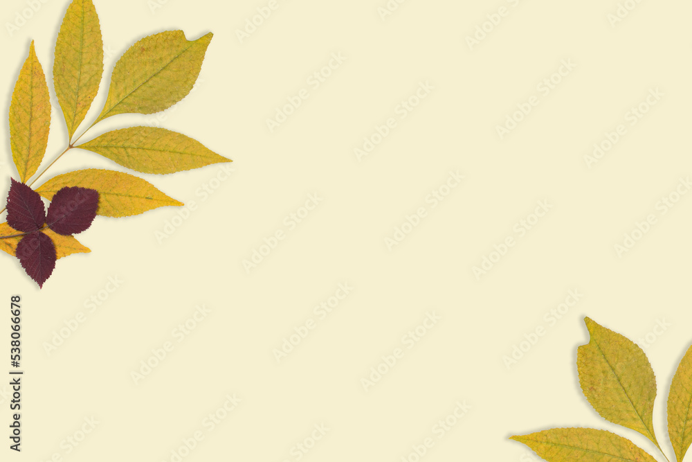 jesienny liść 20 banner - obrazy, fototapety, plakaty 